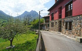 Mirador Del Oso